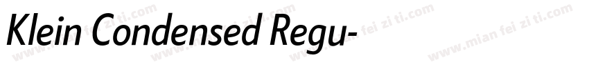 Klein Condensed Regu字体转换